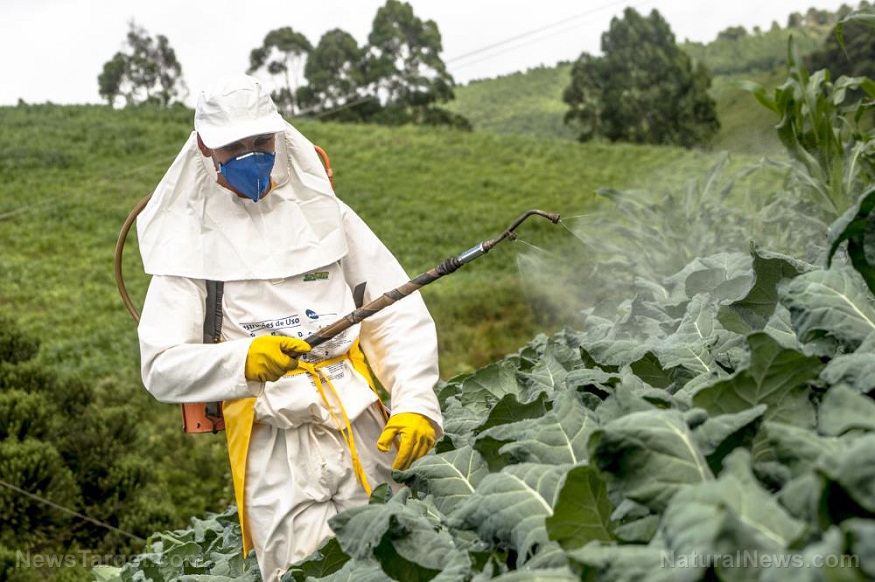 Energy Farms Are Managing Pest